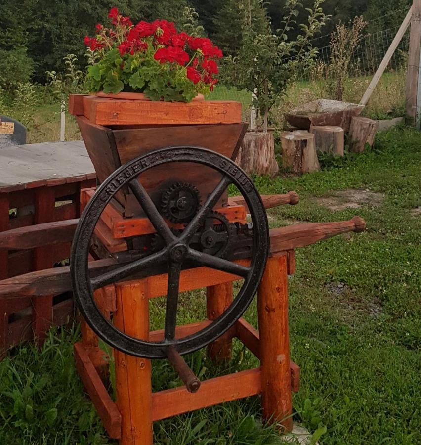 Cabana Dopca Racosu de Jos Dış mekan fotoğraf